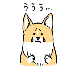 corgi chan sticker #11986877