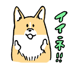 corgi chan sticker #11986878