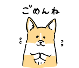 corgi chan sticker #11986881