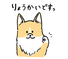 corgi chan sticker #11986884