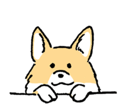 corgi chan sticker #11986887