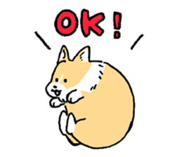 corgi chan sticker #11986888