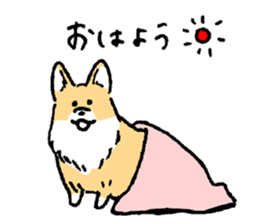 corgi chan sticker #11986891