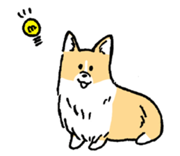 corgi chan sticker #11986892