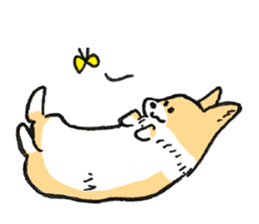 corgi chan sticker #11986893