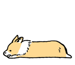 corgi chan sticker #11986894