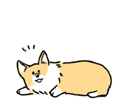 corgi chan sticker #11986895