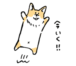 corgi chan sticker #11986896