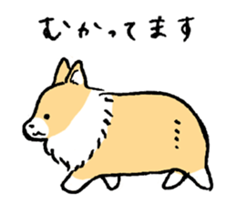 corgi chan sticker #11986897