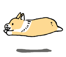 corgi chan sticker #11986898