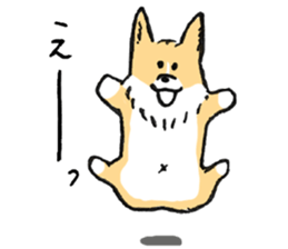 corgi chan sticker #11986900