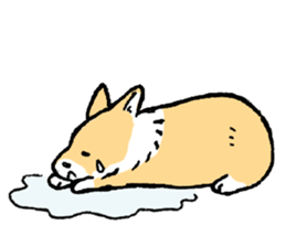 corgi chan sticker #11986901