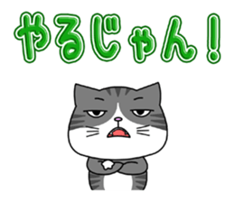 Kitty brothers sticker #11987160