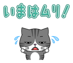 Kitty brothers sticker #11987162