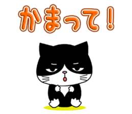 Kitty brothers sticker #11987165