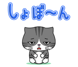 Kitty brothers sticker #11987168