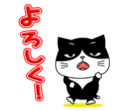 Kitty brothers sticker #11987184