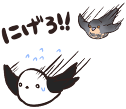 Daily life of the Aegithalos caudatus sticker #11987860