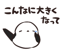 Daily life of the Aegithalos caudatus sticker #11987861