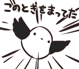 Daily life of the Aegithalos caudatus sticker #11987873