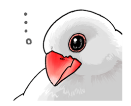 Sticker to animate. Java sparrow sticker #11990105