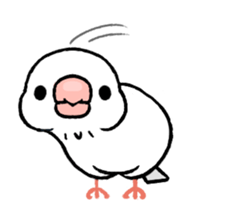 Sticker to animate. Java sparrow sticker #11990107