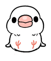Sticker to animate. Java sparrow sticker #11990109