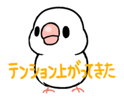 Sticker to animate. Java sparrow sticker #11990110