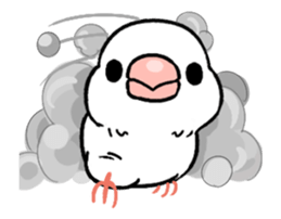 Sticker to animate. Java sparrow sticker #11990111