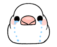 Sticker to animate. Java sparrow sticker #11990112