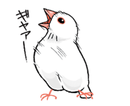 Sticker to animate. Java sparrow sticker #11990115