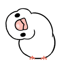 Sticker to animate. Java sparrow sticker #11990117