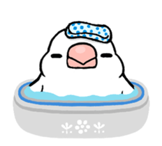 Sticker to animate. Java sparrow sticker #11990119