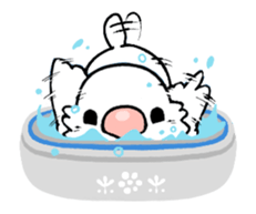 Sticker to animate. Java sparrow sticker #11990120