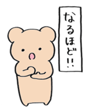 square bear taro sticker #11990508