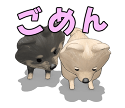 Dog lovely scent sticker #11996292