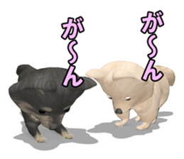 Dog lovely scent sticker #11996300