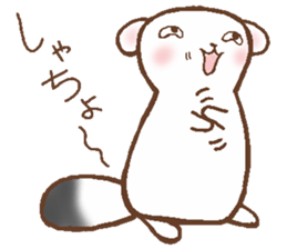 Ermine named Ten-chan sticker #11996687