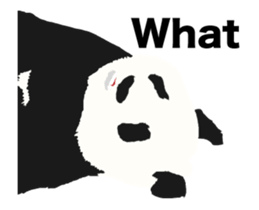 Move! 50%off Panda sticker #11997457