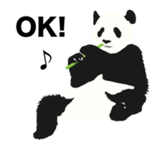 Move! 50%off Panda sticker #11997459