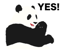 Move! 50%off Panda sticker #11997460
