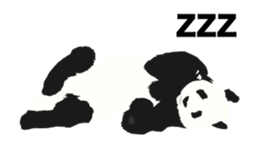 Move! 50%off Panda sticker #11997470