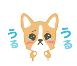 Sticker you want to use with client sticker #11997767