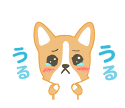 Sticker you want to use with client sticker #11997767