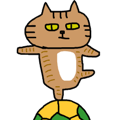 Futsal Football Soccer Cat.