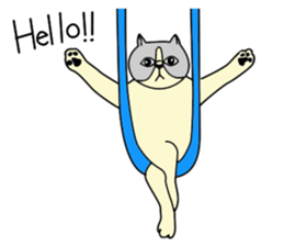 Aerial yogi cat 'AERU' sticker #12004726
