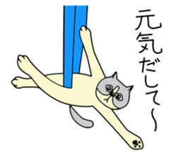 Aerial yogi cat 'AERU' sticker #12004729