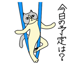 Aerial yogi cat 'AERU' sticker #12004731