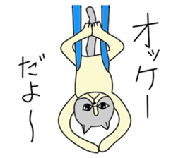 Aerial yogi cat 'AERU' sticker #12004732