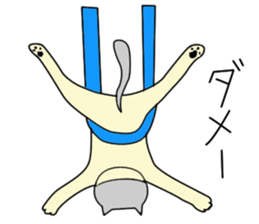 Aerial yogi cat 'AERU' sticker #12004739